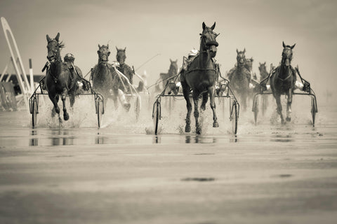 Michigan Vintage Horse Racing