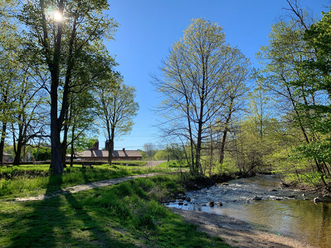 Rochester, Michigan